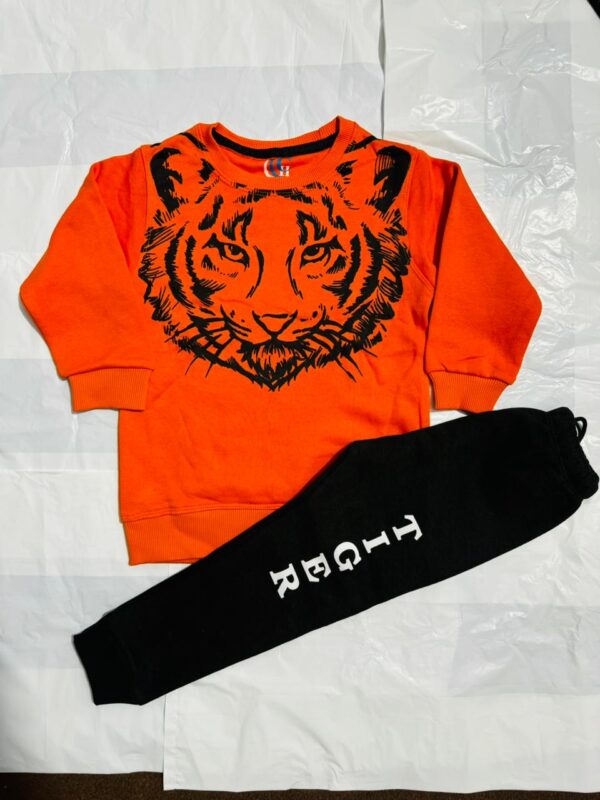Kids Big Tiger Fashion Sweatshirt With Trouser Tracksuit For Kids Baby & Baba Both - Image 2